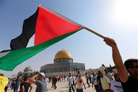 بحث عن قضية فلسطين