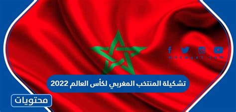 تشكيلة المنتخب المغربي 2004