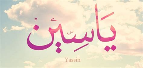 معنى اسم ياسين في المنام , حلمت انى سميت ابنى ياسين صباح الورد