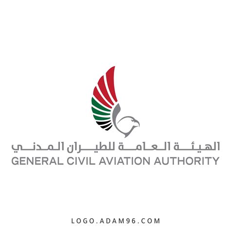 تنظيم الهيئة العامة للطيران المدني