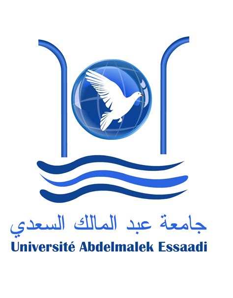 جامعة عبد المالك السعدي