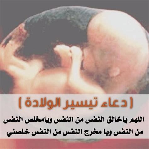 دعاء تسهيل الولادة عند الشيعة ووردز