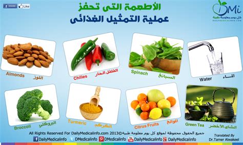 دعم التمثيل الغذائي في الرياض