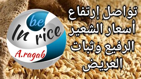 سعر الأرز اليوم في مصر