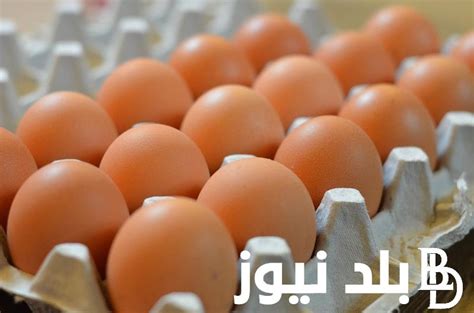 سعر البيض الاحمر اليوم