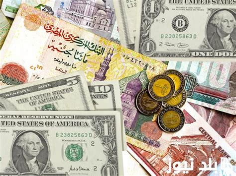 سعر الدولار بنك الاهلى