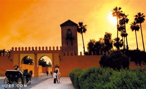 شروط السفر الى المغرب