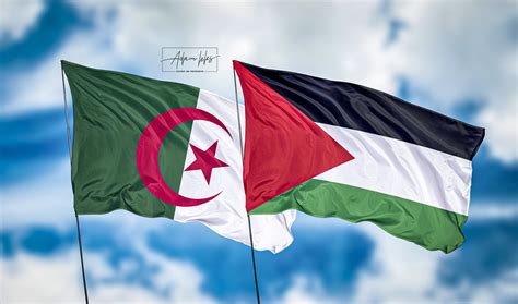 صور فلسطين و الجزائر