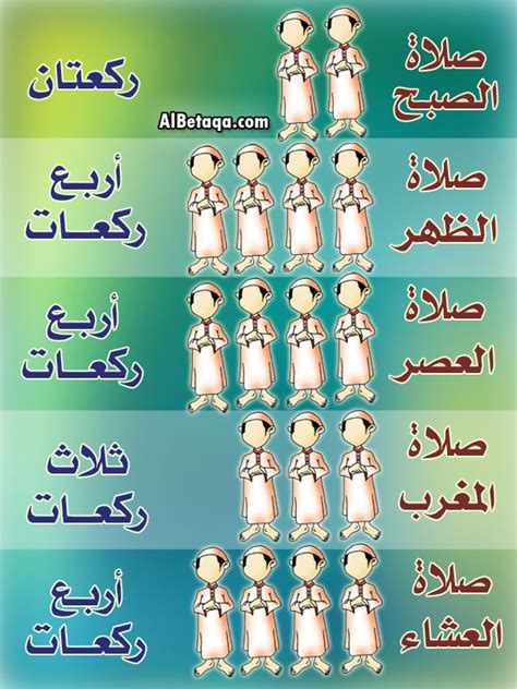 عدد ركعات صلاة العشاء