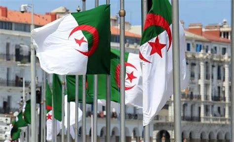 قانون المالية 2019 الجزائر