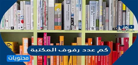 صور أجمل تصاميم رفوف الكتب وأكثرها ابتكاراً شبكة ابو نواف