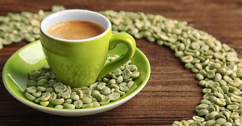 فوائد القهوة الخضراء للتخسيس والكمية المسموح بتناولها موقع بابونج