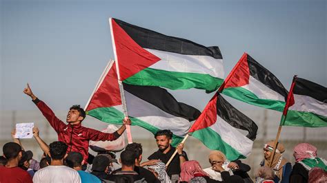 كم عدد شهداء فلسطين