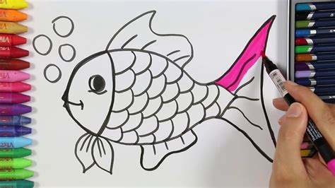 رسم السمك بشكل صحيح: طريقة بسيطة لرسم السمكة بشكل مثالي!