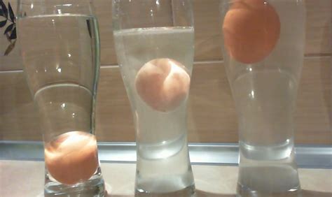كيفية التحقق من إذا كان البيض مخربان؟