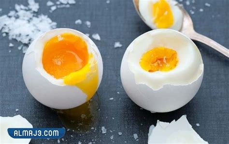 كيفية التحقق من مدى اخراج البيض الخربان