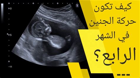 كيفية التعرف على حركات الجنين في الشهر الرابع للحاملة