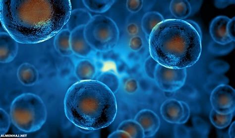 كيفية تحسين الخلايا لتنتج خلايا جديدة