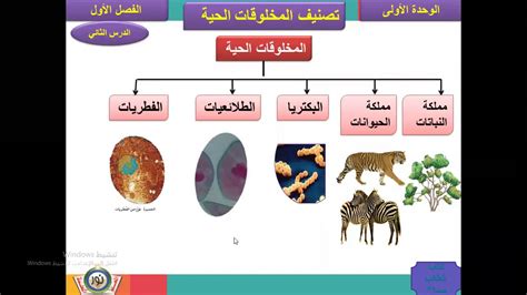 كيف تصنف المخلوقات الحية رابع