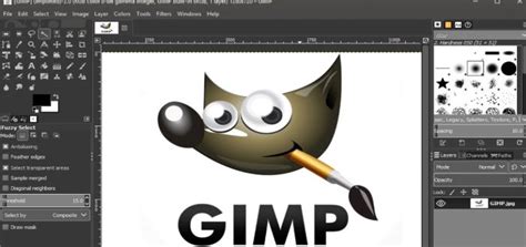 GIMP شرح برنامج جمب بالتفصيل مع شرح كيفية قص جزء من الصورة YouTube
