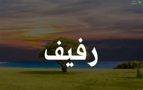 ما معنى اسم رفيف