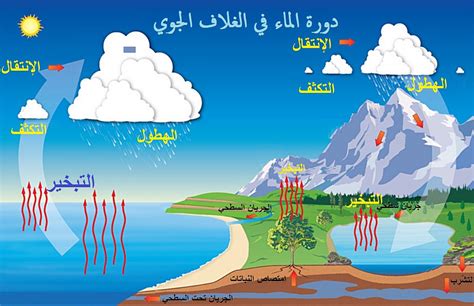 مراحل دورة الماء في الطبيعة