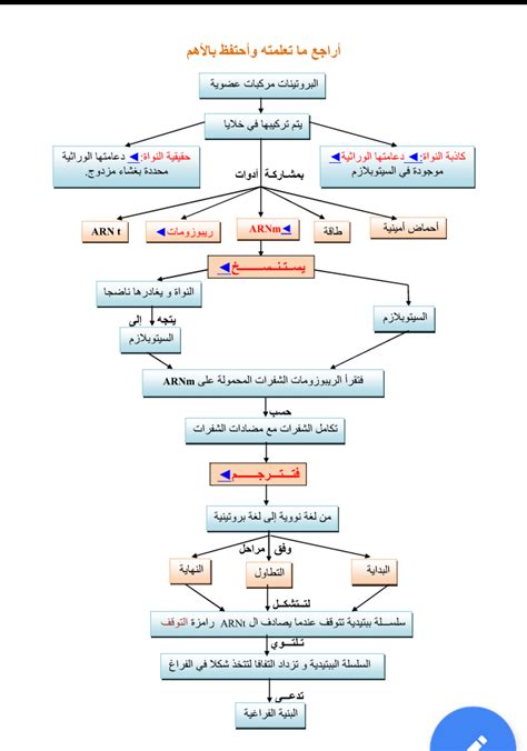 ملخص الوحدة الاولى علوم طبيعية 3 ثانوي