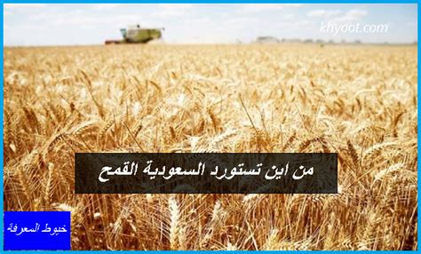 ما هو تسويق القمح في المملكة العربية السعودية؟