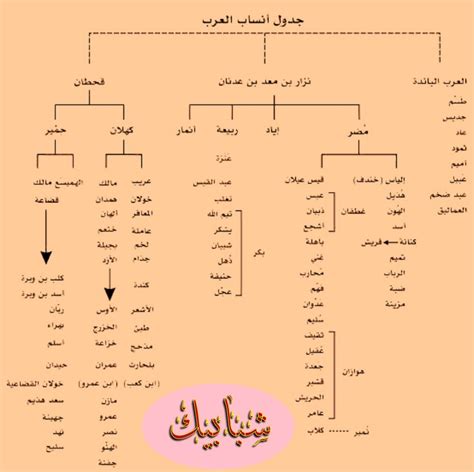 من هم اصل العرب