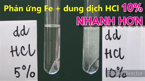 ảnh hưởng của nồng độ