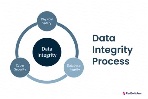 Data Integrity Checks
