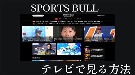 スポーツブル テレビで見る