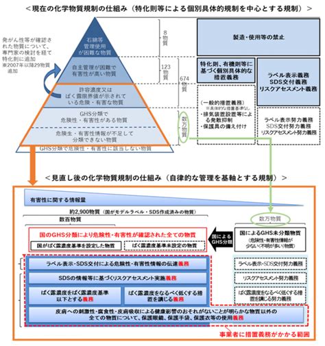 チームへの貢献と影響：新たな化学反応