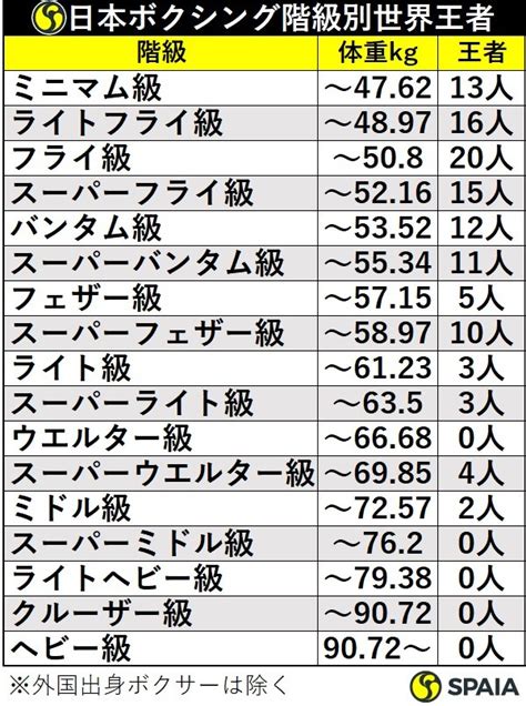 ボクシング 階級一覧