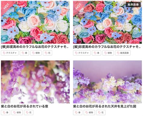 「ガーデニング」をテーマにした無料写真素材10選（商用利用可） ACworks BLOG