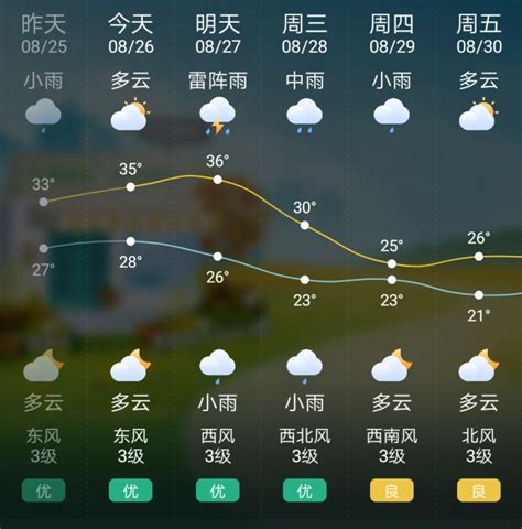 天气预报15天查询上海的穿衣指数
