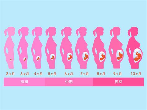 妊娠 中 生理 の 夢	Informational, Commercial