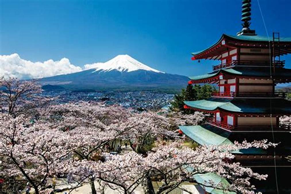 富士山周辺の観光スポット