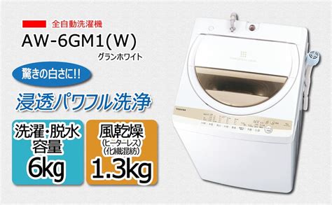 東芝 洗濯機 aw-6gm1