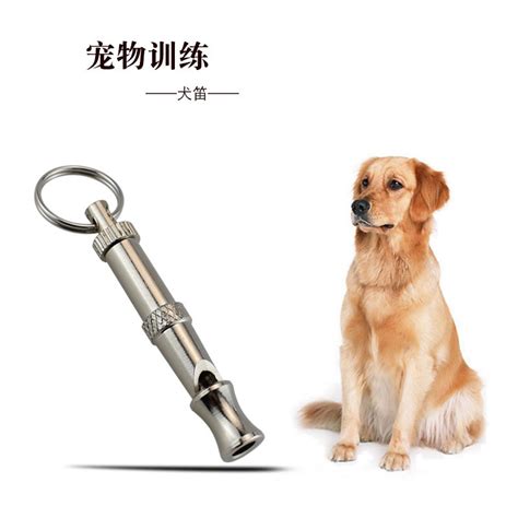 5+ 犬 笛 使い方 Article