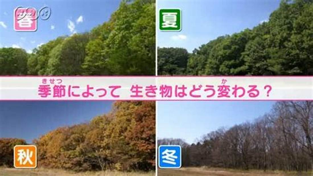 環境や季節によって変わる木の特徴