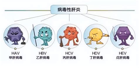 病毒性肝炎的常见类型有哪些