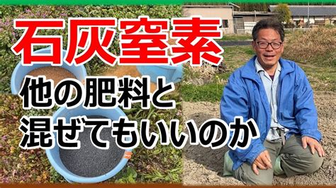 石灰窒素 使い方 家庭菜園 Kakuza
