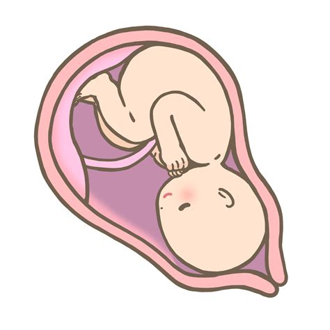 妊娠中から母乳育児中に胎児に届けたい栄養 3Growth