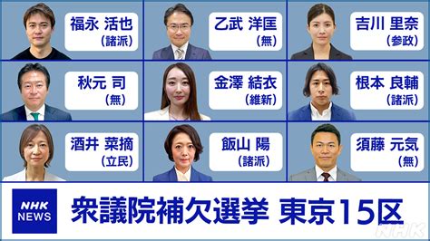 衆議院補欠選挙 東京