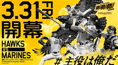 野球 開幕戦 2023 チケット