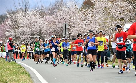 長野マラソン エントリー 状況