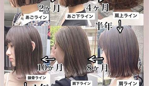 髪型 ロング ボブ 比較 簡単なのにこなれてる♡〜までのまとめ髪ヘアアレンジ【HAIR】