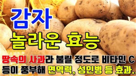 감자의 효능과 소화기능 개선