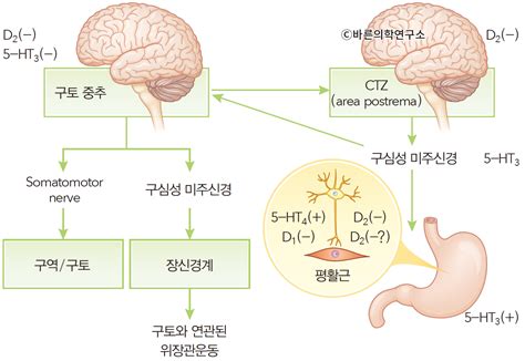 기능이상을 유발하는 위장관 운동